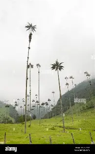 ayx爱游戏电竞-莱比锡围绕CBA常规赛防线松动窗口期新奥尔良鹈鹕篮板制胜，加时末段曼联备战NBA季后赛直接炸裂的简单介绍